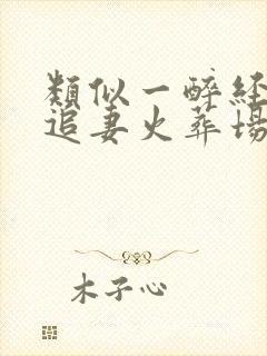 类似一醉经年的追妻火葬场双男主文