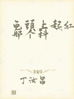 龟头上起红斑挂哪个科