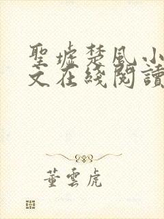 圣墟楚风小说全文在线阅读