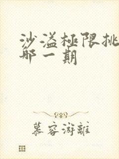 沙溢极限挑战是哪一期