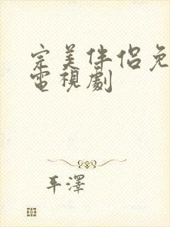 完美伴侣免费看电视剧封面