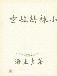 空姐丝袜小说封面