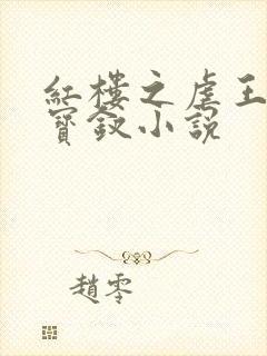 红楼之虐王夫人宝钗小说