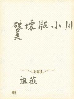 破坏版小川阿佐美