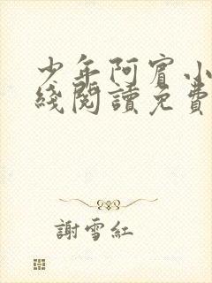 少年阿宾小说在线阅读免费全文