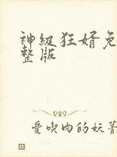 神级狂婿免费完整版