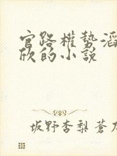 官路权势滔天宁欣的小说