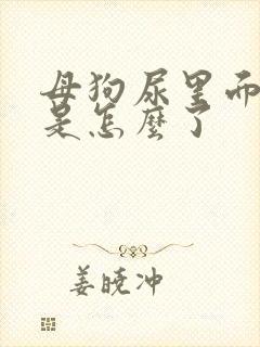 母狗尿里面尿血是怎么了