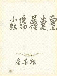 小便尿出白色颗粒物体是怎么回事封面