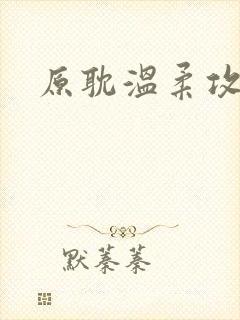 原耽温柔攻