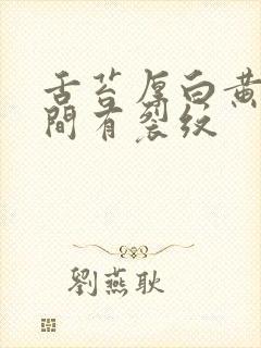 舌苔厚白黄腻中间有裂纹