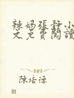 辣妈张静小说全文免费阅读最新章节封面