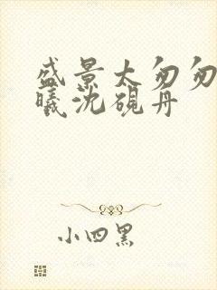 盛景太匆匆宁若曦沈砚舟