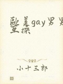 欧美gay男男互操封面