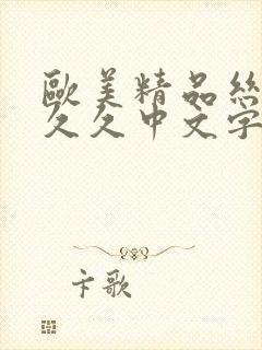 欧美精品丝袜久久久中文字幕