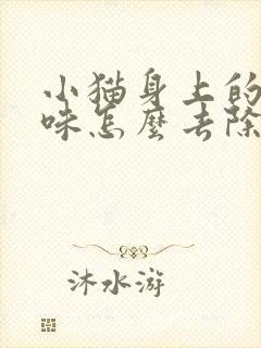 小猫身上的尿骚味怎么去除