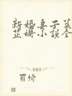 新婚妻子菜老板芷姗小说全集