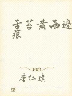 舌苔黄两边有齿痕