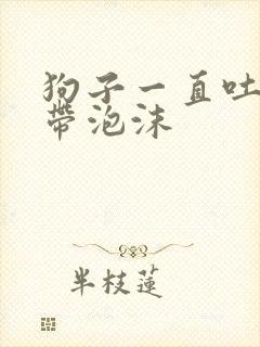 狗子一直吐黄水带泡沫