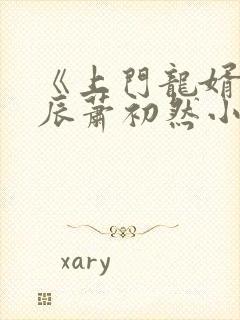 《上门龙婿》叶辰萧初然小说封面