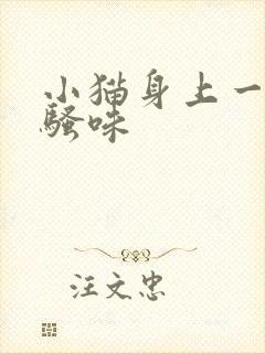 小猫身上一股尿骚味封面