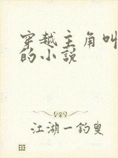 穿越主角叫林枫的小说