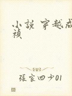 小说 穿越成崇祯封面