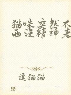 猫咪突然不吃东西没精神老是趴着