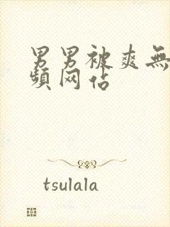 男男被爽无套视频网站