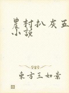 农村扒灰五十篇小说封面