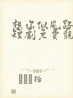 想你似风路过我短剧免费观看封面