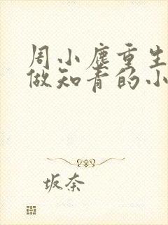 周小尘重生下乡做知青的小说