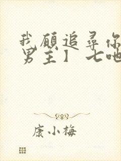 我愿追寻你【双男主】 七吔