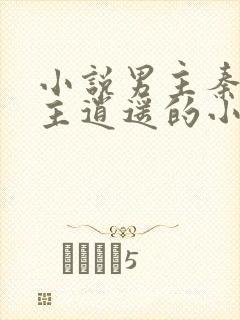 小说男主秦默女主逍遥的小说