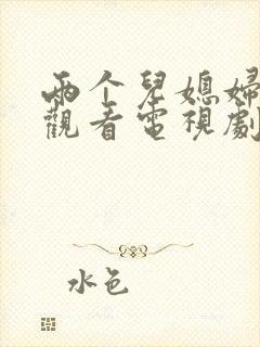 两个儿媳妇免费观看电视剧第1集封面