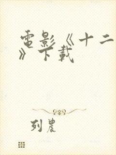 电影《十二公民》下载封面