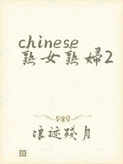 chinese熟女熟妇2