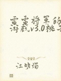 雷电将军的惩罚游戏v3.0桃子移植封面