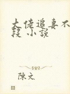 大佬追妻不择手段 小说