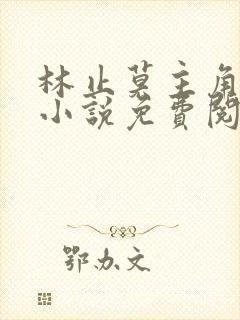 林止莫主角穿越小说免费阅读封面