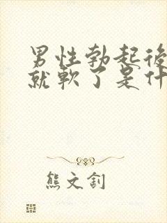 男性勃起后很快就软了是什么原因