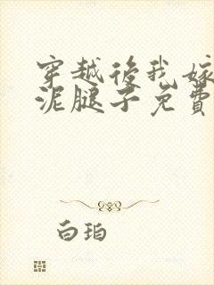 穿越后我嫁给了泥腿子免费阅读