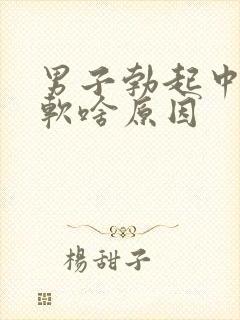 男子勃起中途变软啥原因