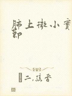 肺上微小实性结节