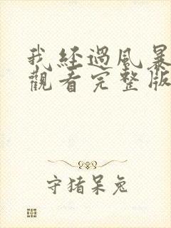 我经过风暴免费观看完整版封面