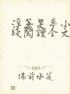 浮华是梦小说在线阅读全文封面