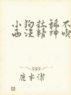 小狗拉稀不吃东西没精神吃什么药