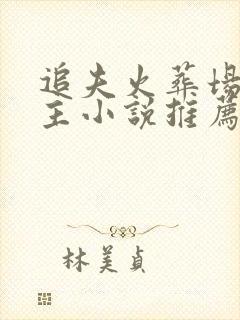 追夫火葬场双男主小说推荐