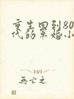重生回到80年代的军婚小说