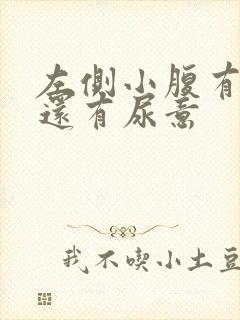 左侧小腹有点胀还有尿意